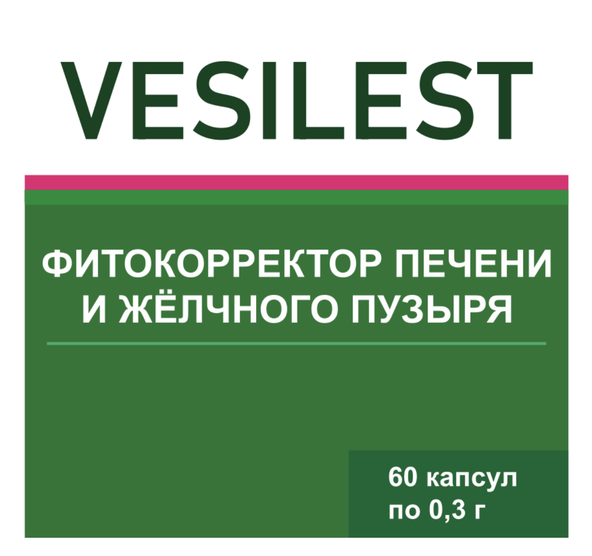 VESILEST