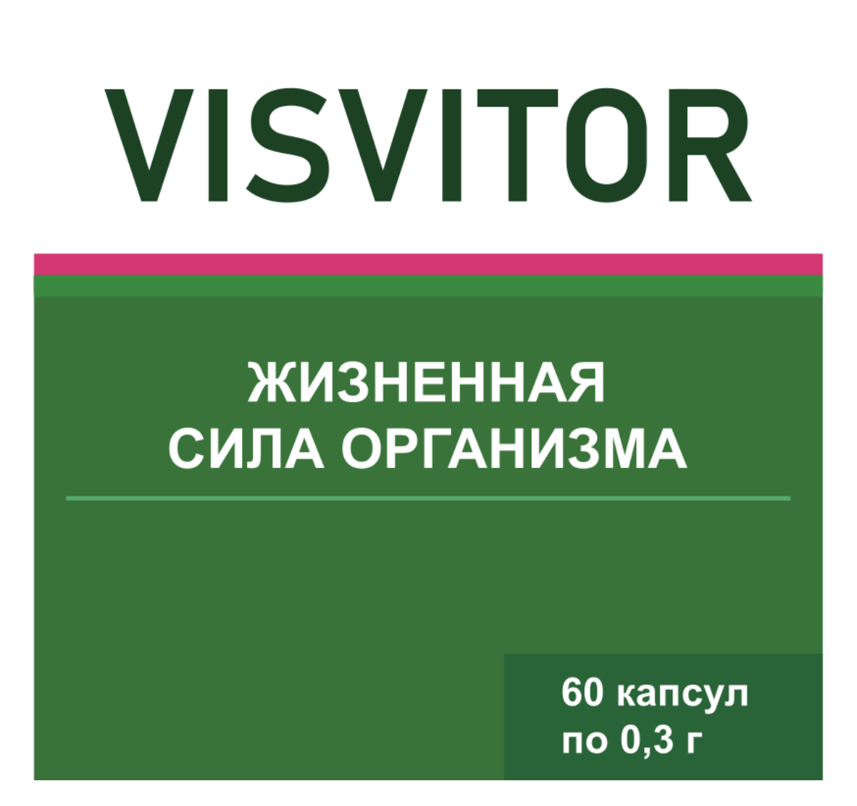 VISVITOR